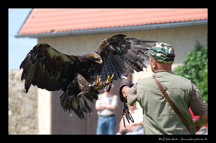 der Anflug