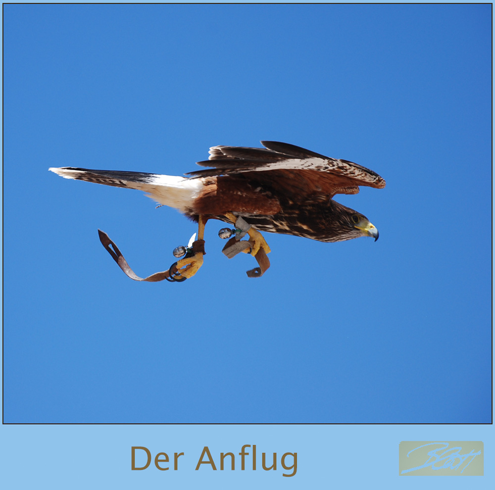 Der Anflug