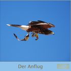 Der Anflug