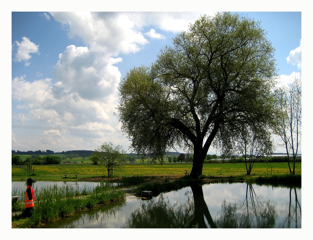 Der Angelteichwächter