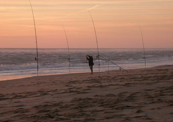 Der Angler von Raimund Göppel