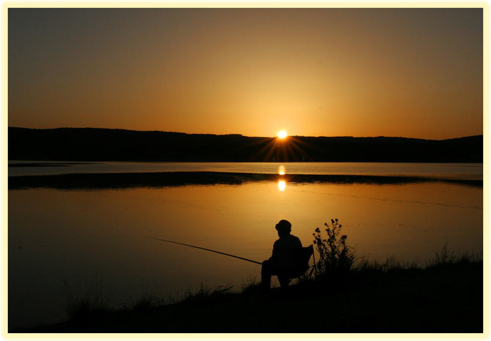 Der Angler am Goldenriver