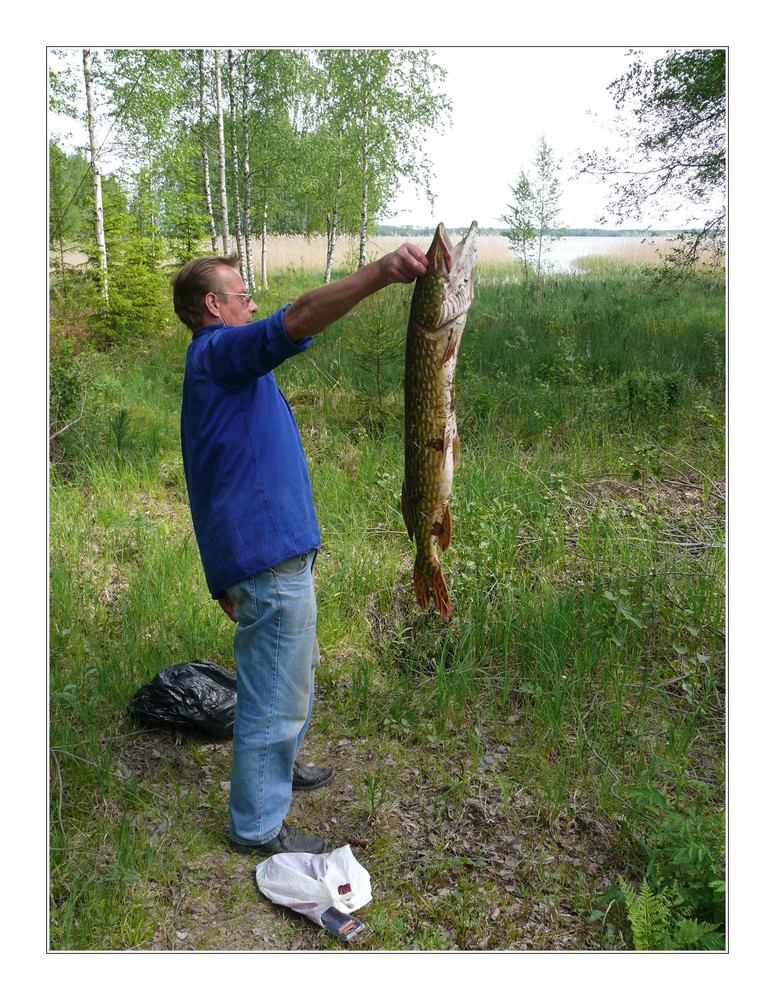 Der Angler am Karhujärvi ...