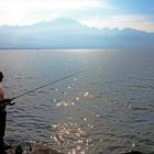 der Angler am  Lac Léman