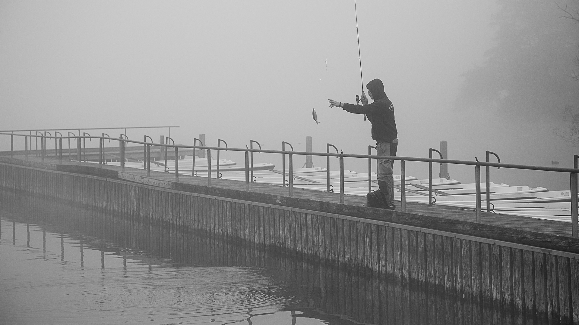 Der Angler am See