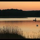 Der Angler am Wreechensee