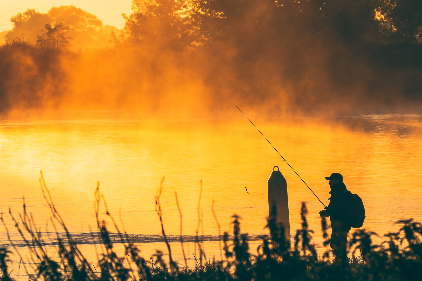 Der Angler an der Elbe