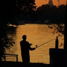 Der Angler an der Spree ...