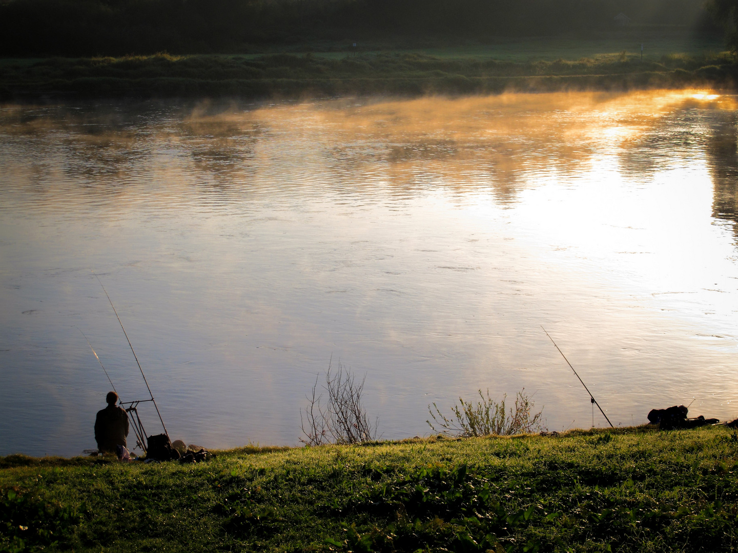 der Angler