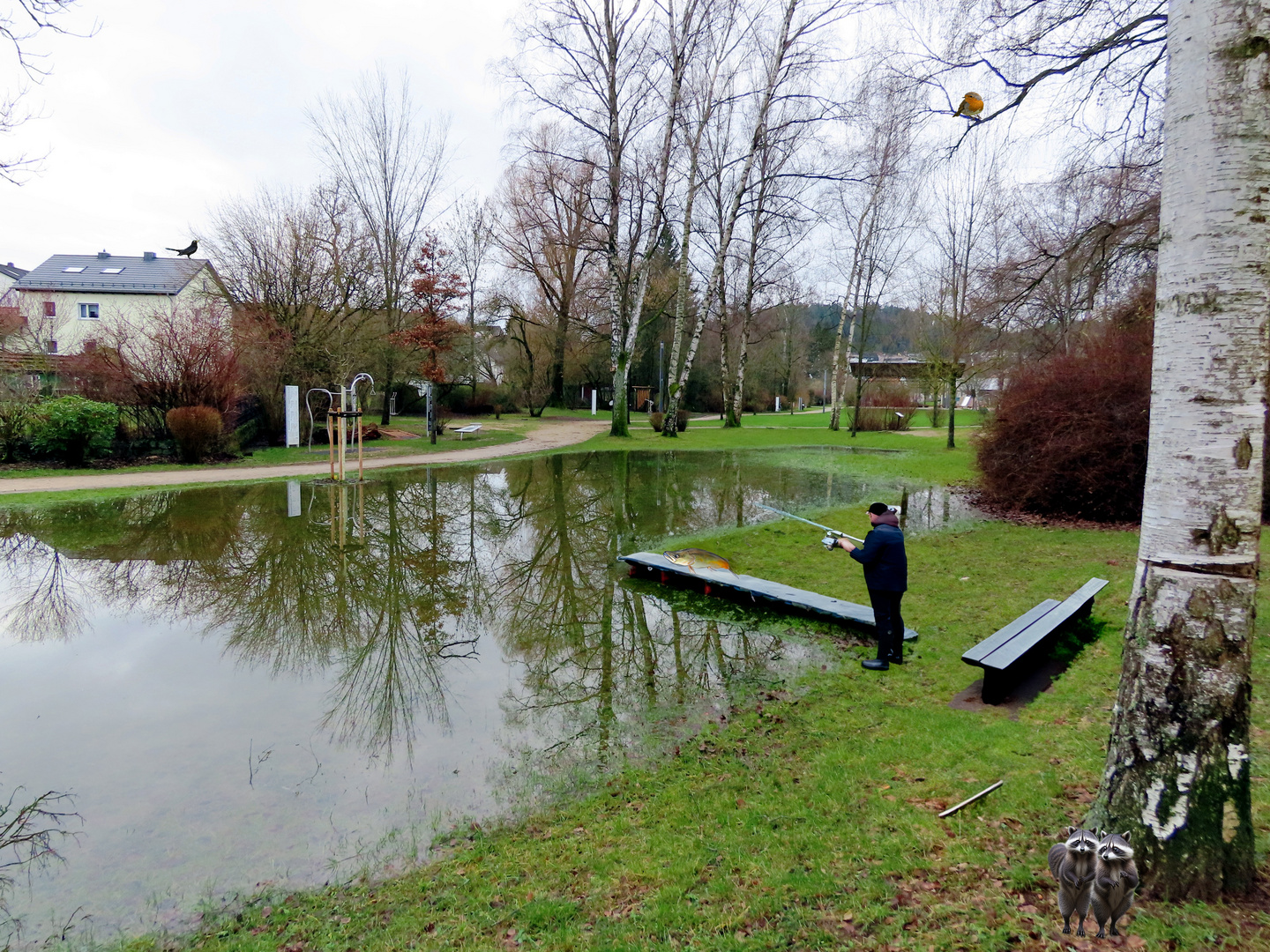 Der Angler im Wiesweiher Park