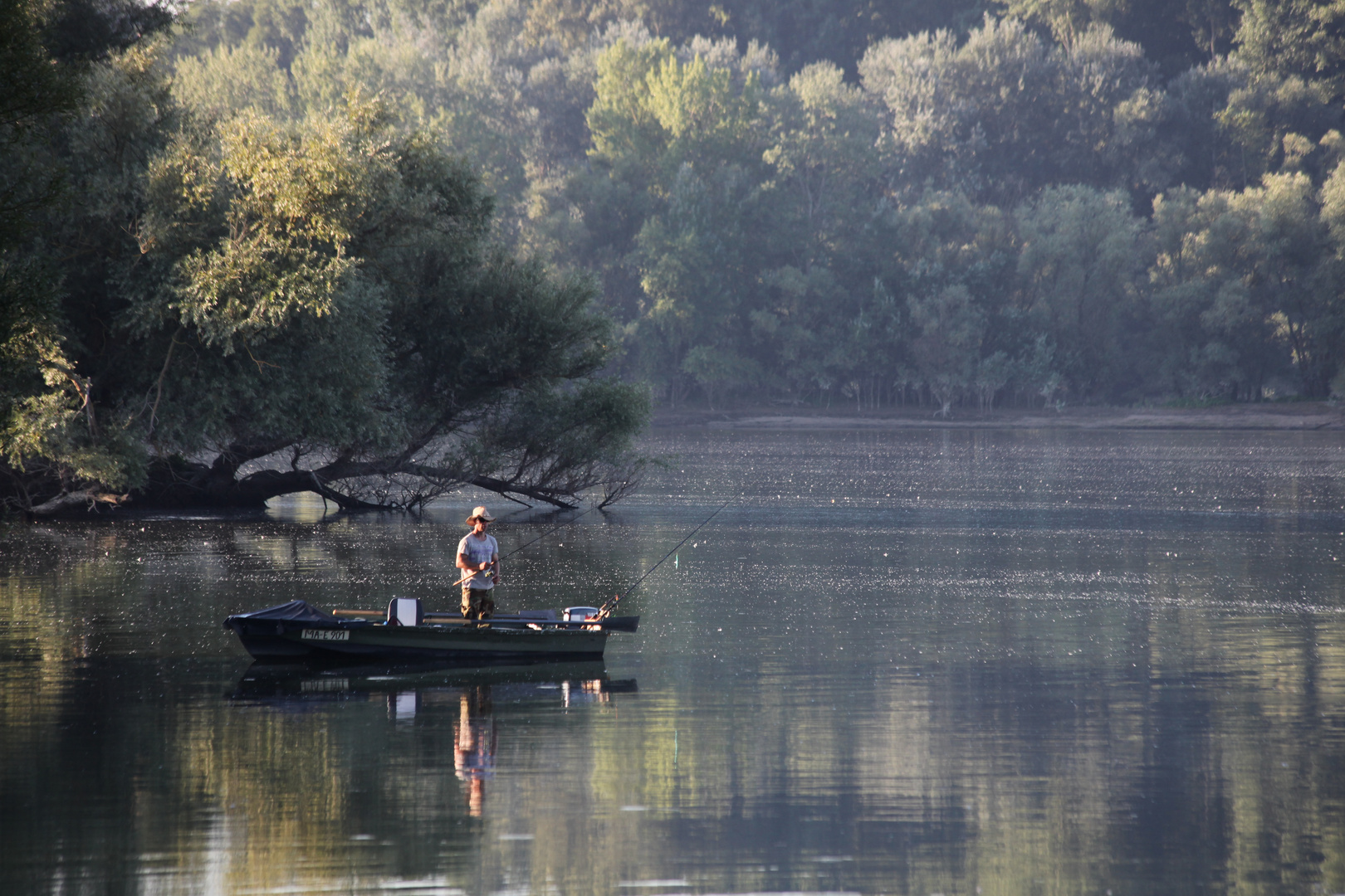 Der Angler vom Reffenthal