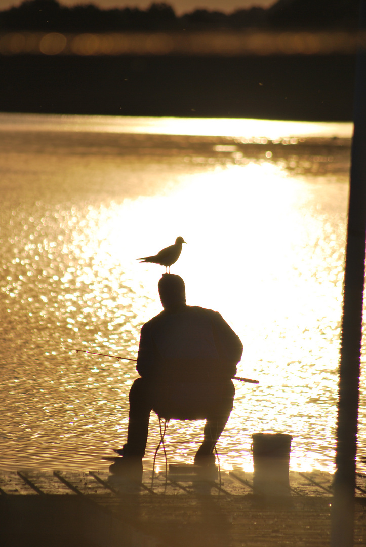 Der Angler,die Möwe und der Sonnenuntergang.