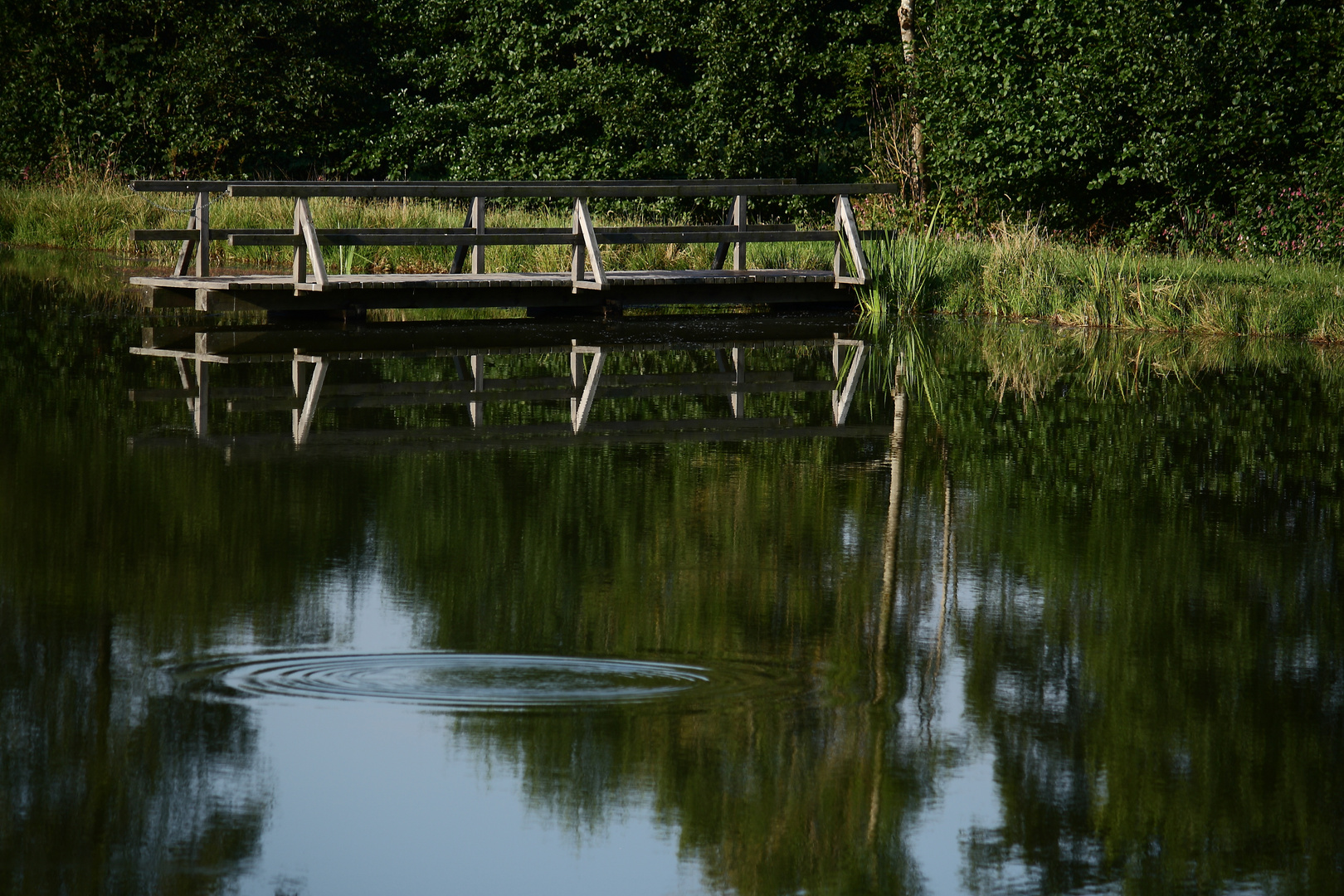 Der Anglersee