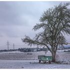 Der Anhänger unter dem Baum