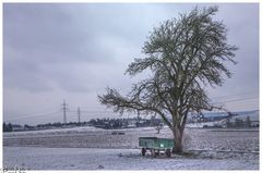 Der Anhänger unter dem Baum