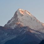 Der Annapurna South (7219 m) vom Aussichtspunkt Poon Hill (3210 m)