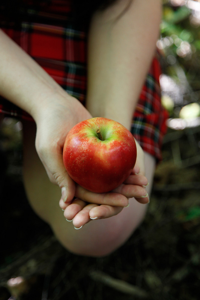 Der Apfel