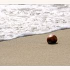 der Apfel am Strand