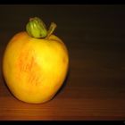 Der Apfel der Fruchtbarkeit