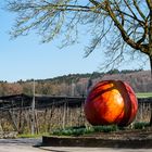 Der Apfel fällt nicht weit vom Stamm