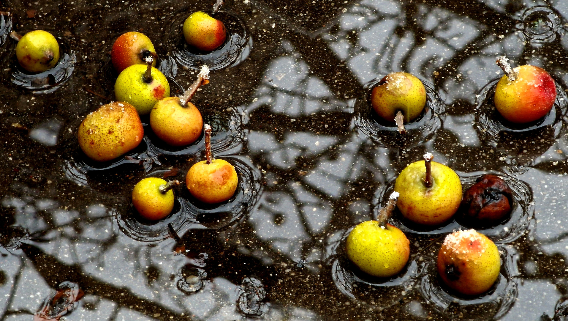 Der Apfel fällt nicht weit vom Stamm...