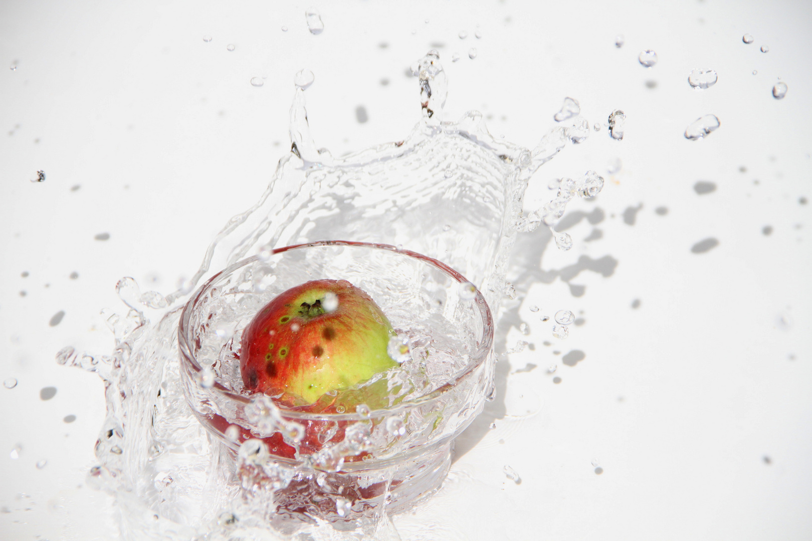 Der Apfel fällt zwar nicht weit vom Stamm, aber in´s Wasser