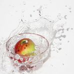 Der Apfel fällt zwar nicht weit vom Stamm, aber in´s Wasser