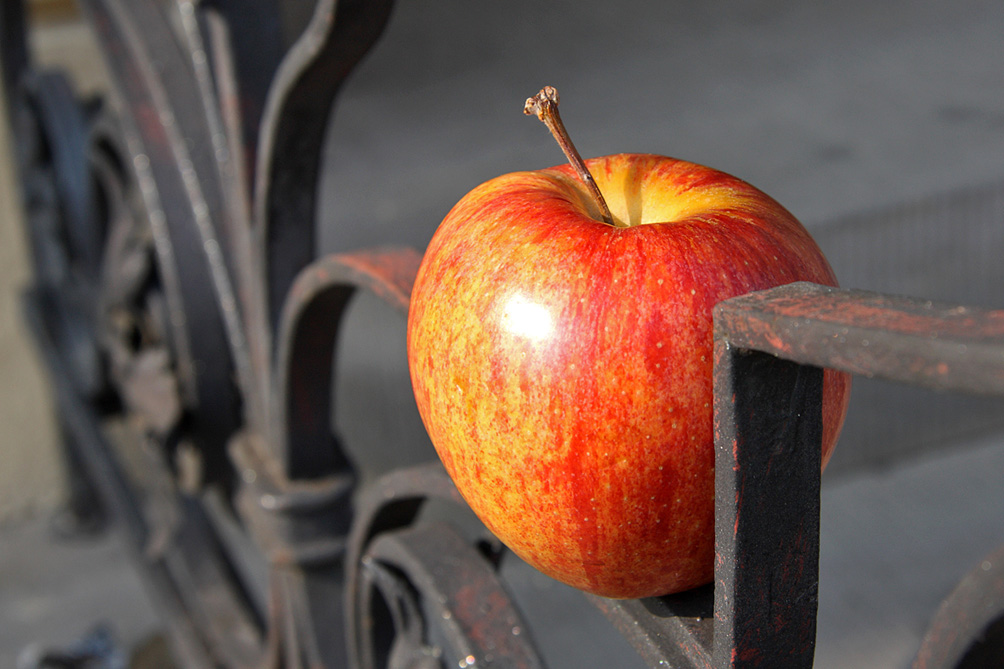 Der Apfel steckt fest