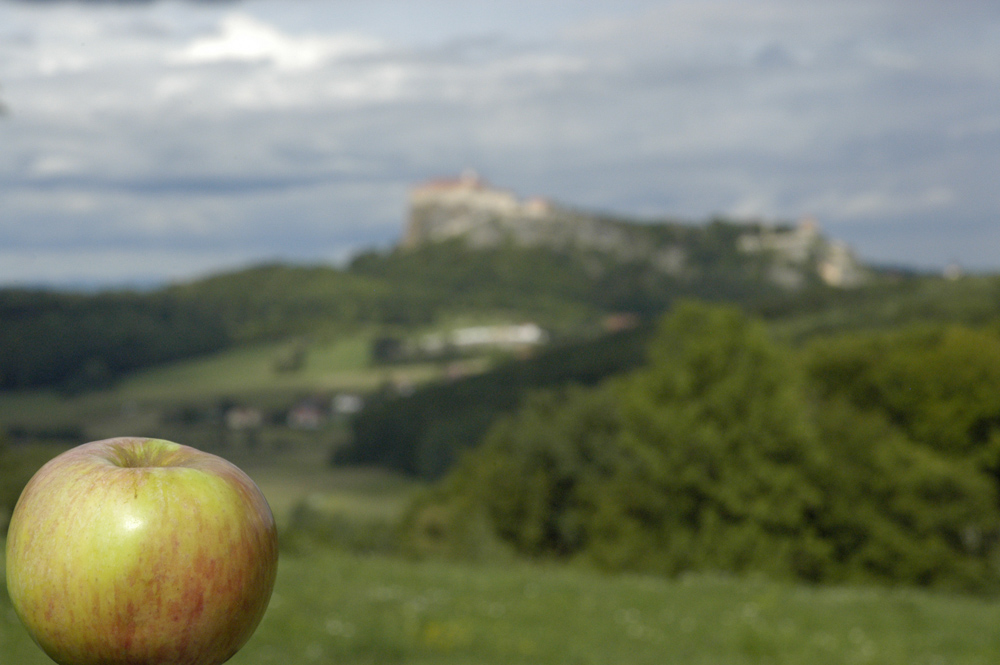 der Apfel und die Burg