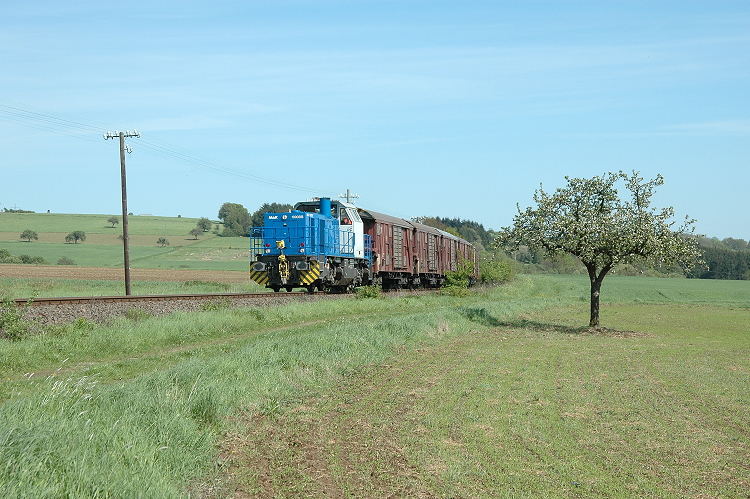 Der Apfelbaum