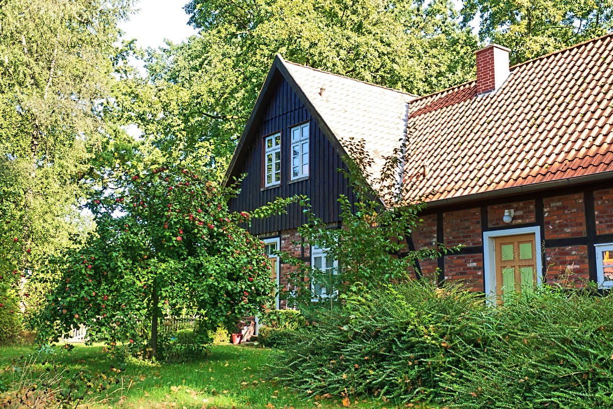 Der Apfelbaum im Foto & Bild spezial, natur, haus Bilder