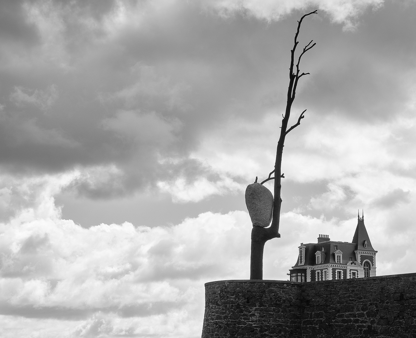 Der Apfelbaum von Dinard