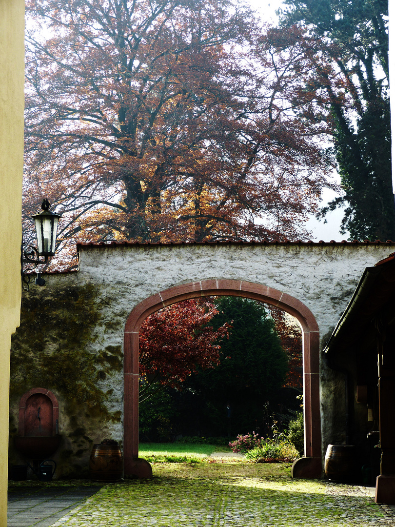 der Apothekergarten