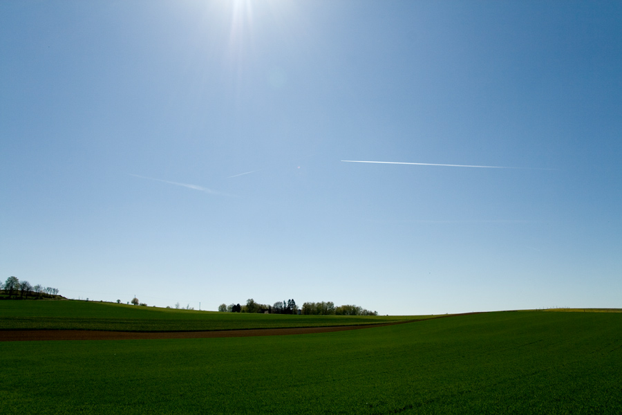 Der April, der Sommer sein wollte!