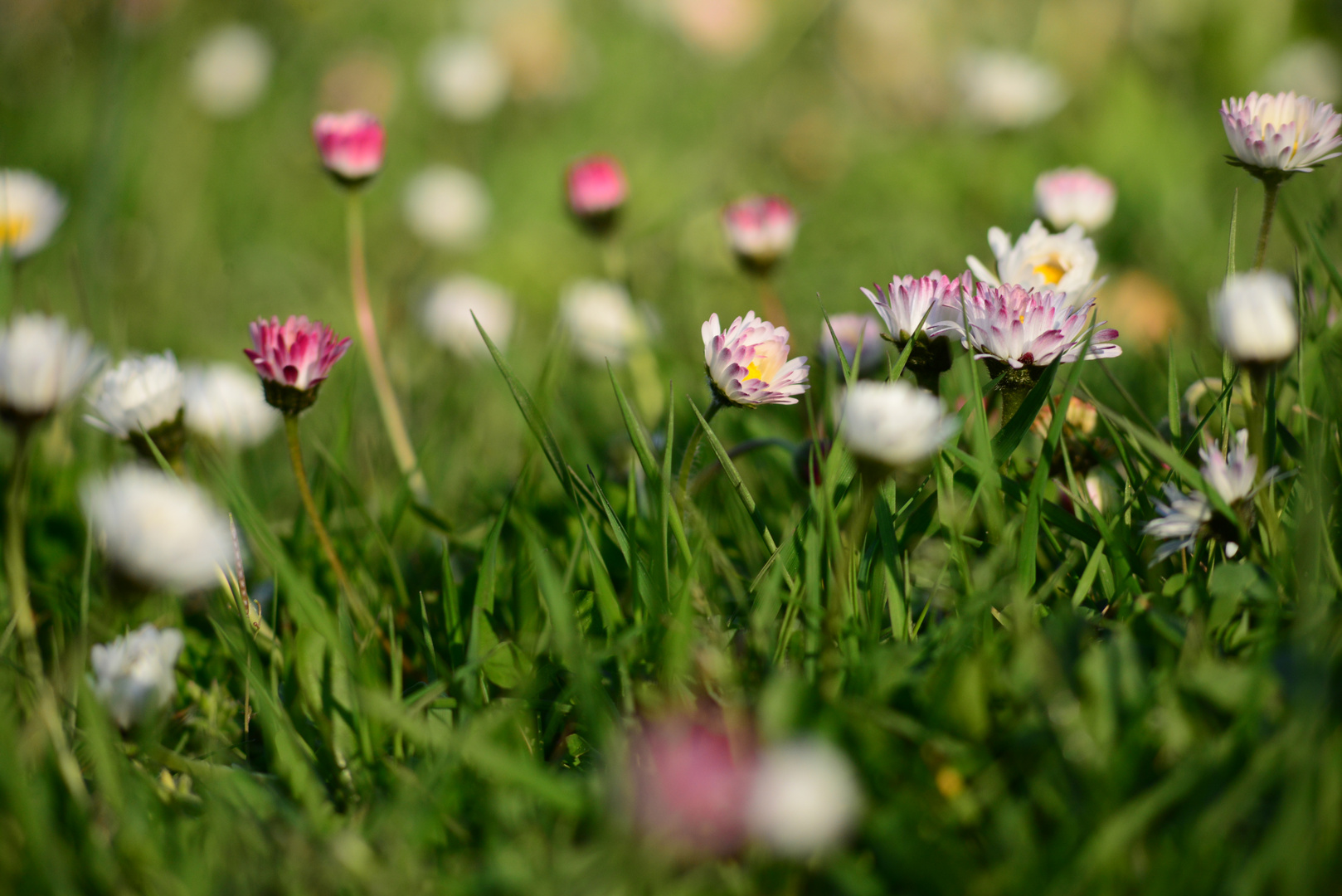 "Der April macht. was er will"