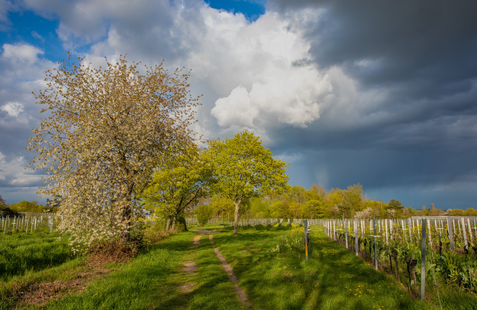 Der April macht, was er will...