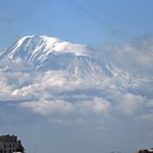 Der ARARAT