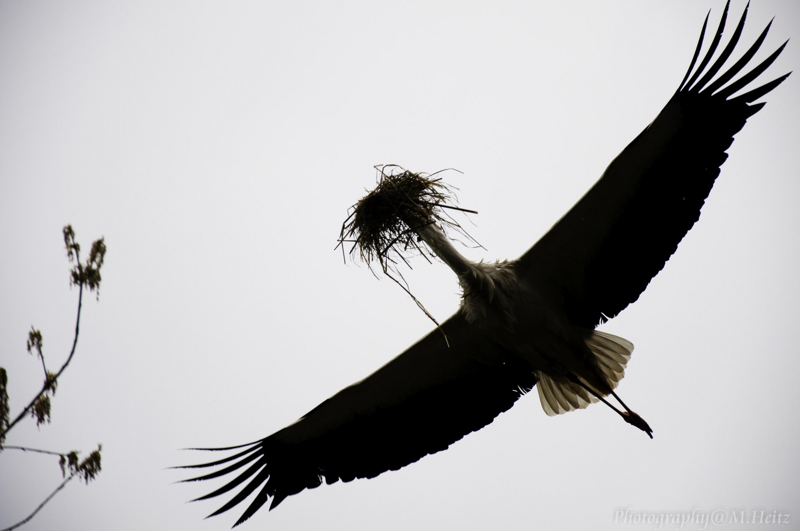 Der Arbeitsstorch