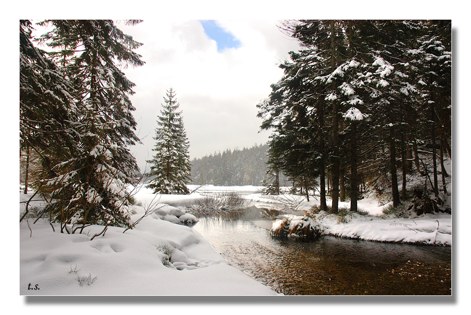 Der Arbersee 1