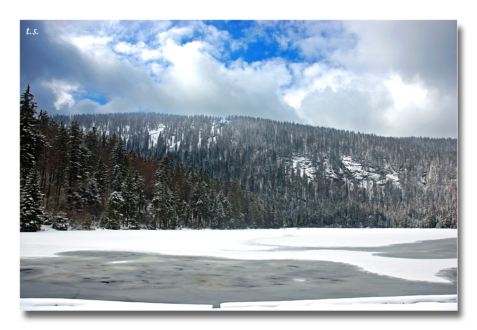 Der Arbersee 2