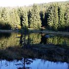 Der Arbersee im Bayersichen Wald 1