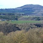 Der Aremberg von Süden  her gesehen. 