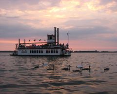 Der Arendsee, die Sonnenuntergänge, die Queen und die Schwäne …