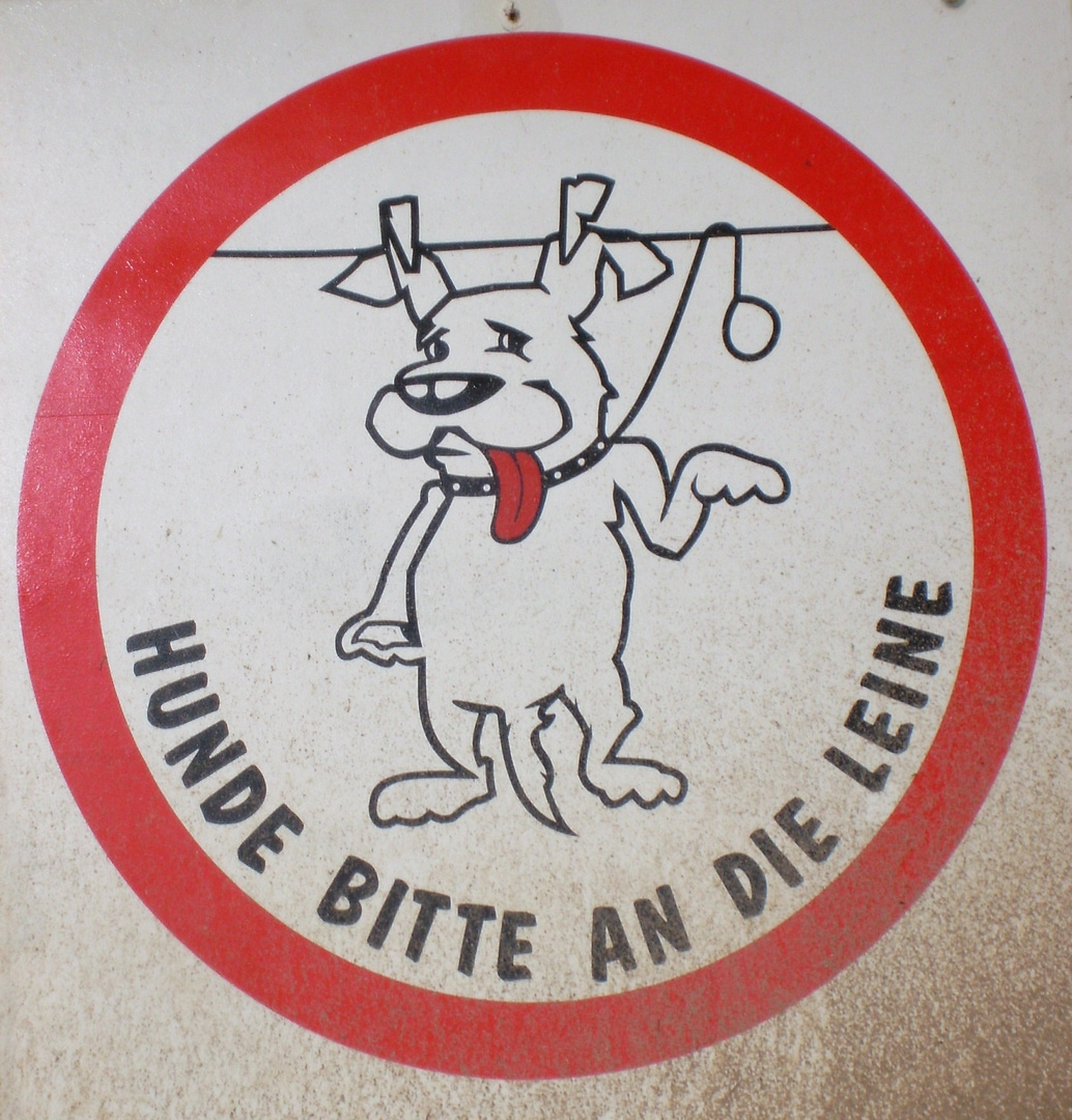 Der arme Hund Foto &amp; Bild spezial, hund, quatsch Bilder auf