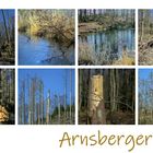 Der Arnsberger Wald/ NRW
