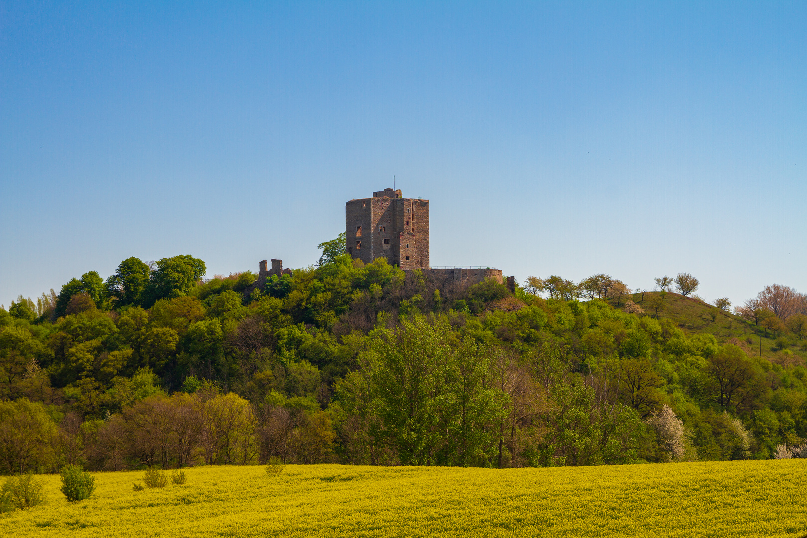 Der Arnstein im Sommer