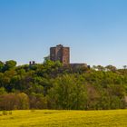 Der Arnstein im Sommer