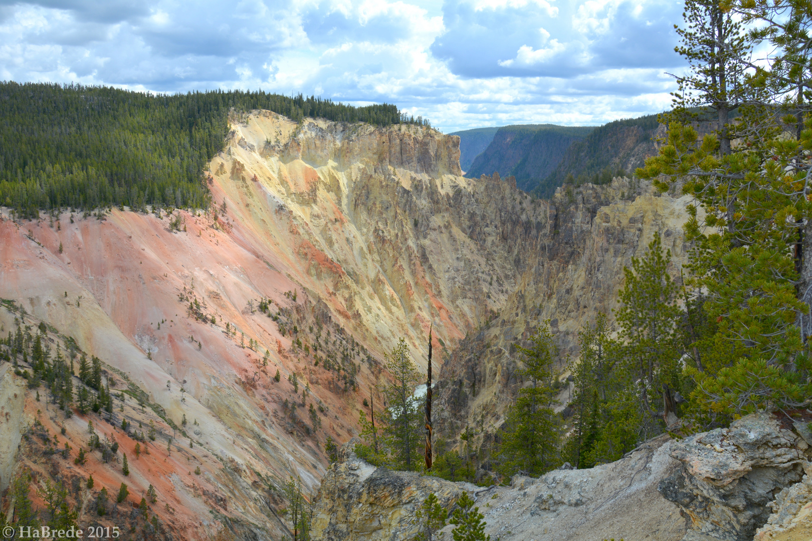 Der Artist-Point am Yellowstone River