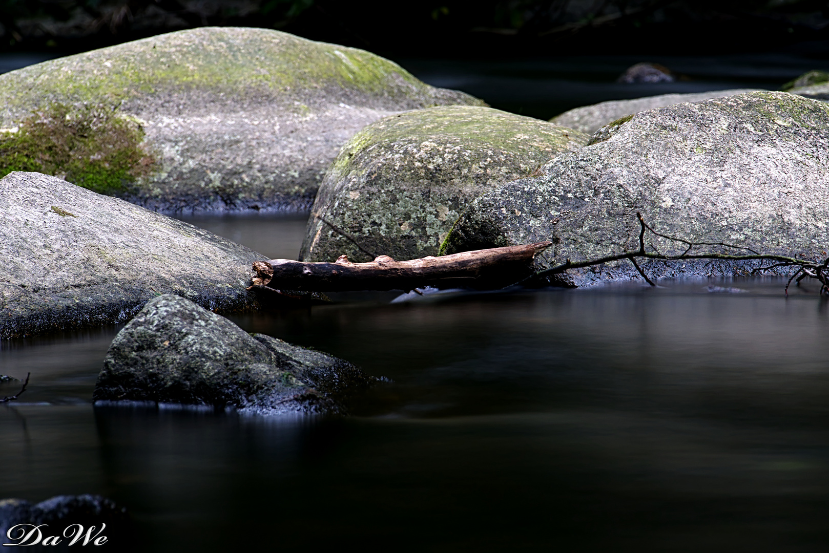 Der Ast Foto & Bild | anfängerecke - nachgefragt, bodetal, graufilter