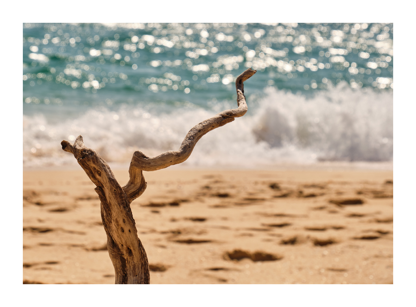 Der Ast am Strand